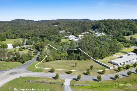 Property photo of 14 Tally Springs Drive Tallebudgera QLD 4228