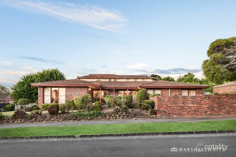 Property photo of 31 Staughton Road Glen Iris VIC 3146