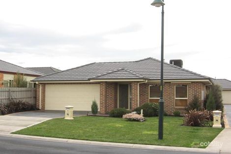 1/2 Sarah-Louise Pl, Berwick, VIC 3806