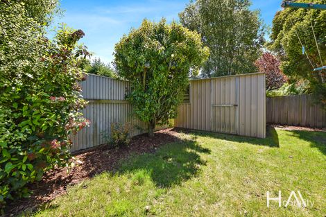 Property photo of 58 Country Club Avenue Prospect Vale TAS 7250
