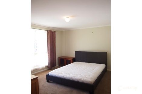 Property photo of 77 Willcocks Avenue Seaton SA 5023