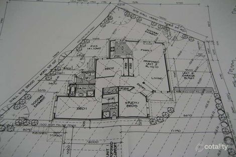 85a Mossgiel Park Dr, Endeavour Hills, VIC 3802