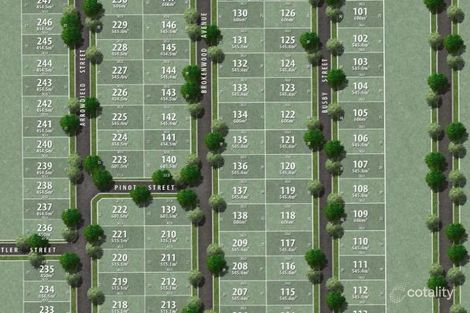 Property photo of 229 Arrowfield Street Cliftleigh NSW 2321