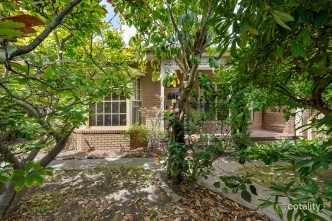 126 Cochrane St, Brighton, VIC 3186