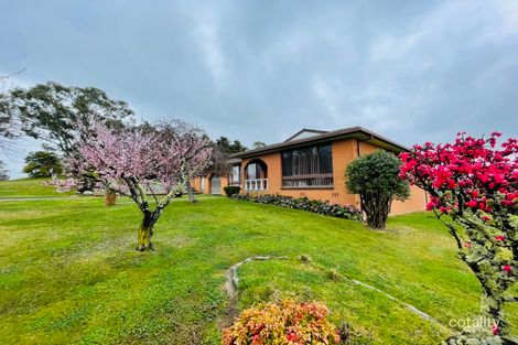 100w Hill St, Walcha, NSW 2354