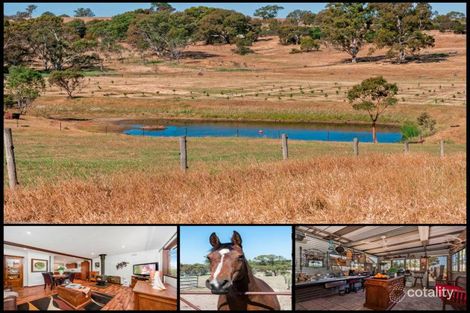 Black Snake Rd, Birdwood, SA 5234