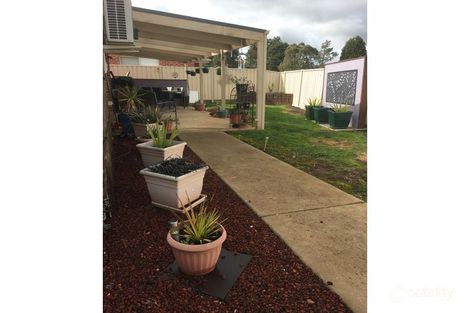 Property photo of 3/21 Linaker Street Golden Point VIC 3350