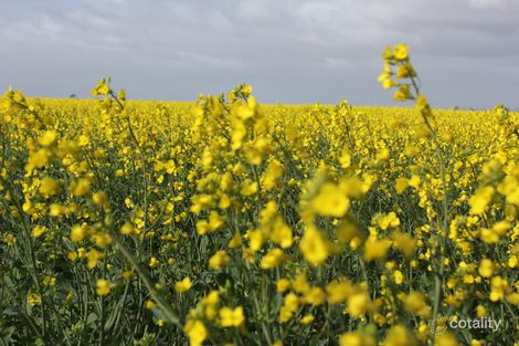 317 Butler Rd, Cramphorne, WA 6420