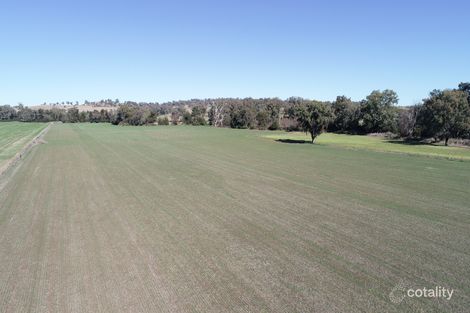 Property photo of 750 Nundle Road Piallamore NSW 2340