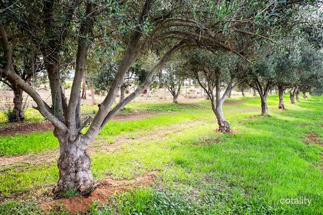 Property photo of 26 Manzanillo Avenue Moama NSW 2731