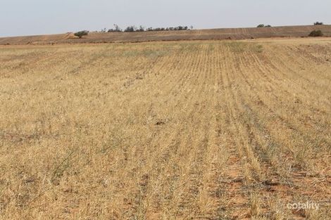 373 Werrimull South Rd, Werrimull, VIC 3496