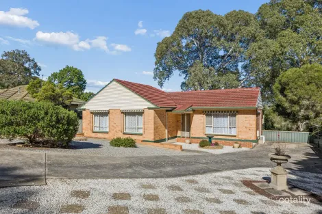 13 Ellen St, Tea Tree Gully, SA 5091