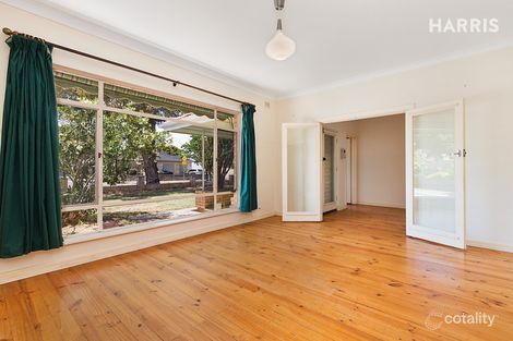 Property photo of 16 White Avenue Lockleys SA 5032