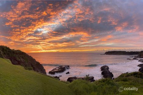 Property photo of 38 Cliff Drive Kiama Downs NSW 2533