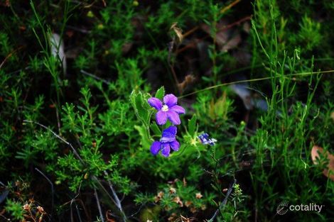 Property photo of 370 Clematis Grove Wooroloo WA 6558