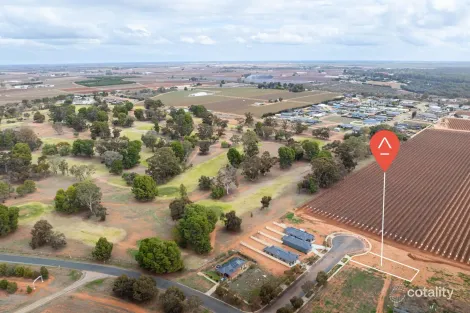 8 Carrazza Ct, Robinvale, VIC 3549