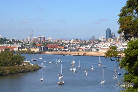 Property photo of 49 Dickson Terrace Hamilton QLD 4007