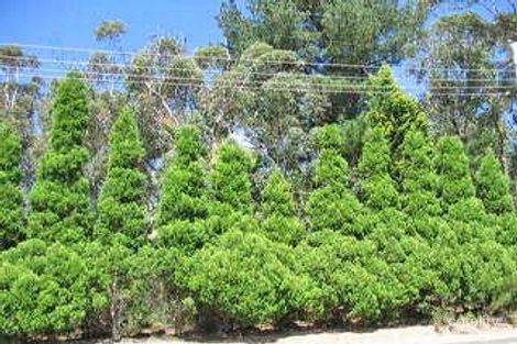 104-106 Sublime Point Rd, Leura, NSW 2780