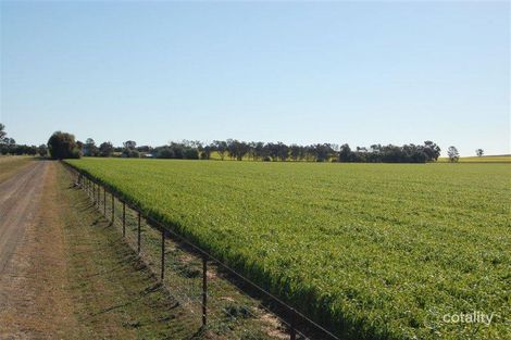 577 Tooyal Rd, Euberta, NSW 2650