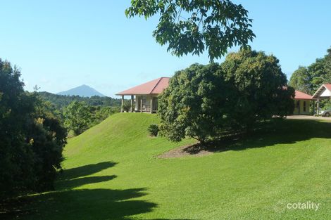 Property photo of 175 Mount Perserverance Road Julatten QLD 4871