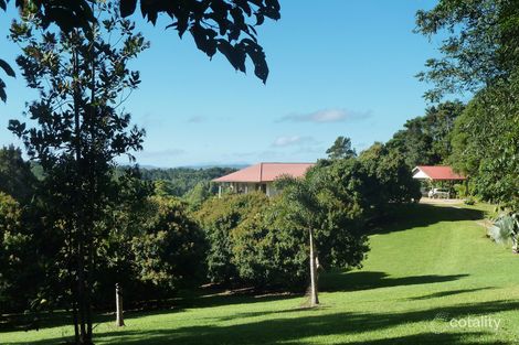 Property photo of 175 Mount Perserverance Road Julatten QLD 4871