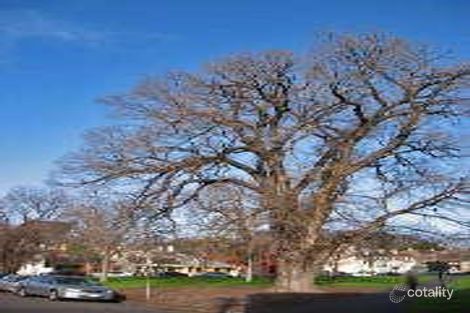 23-57 Murchison St, Carlton, VIC 3053