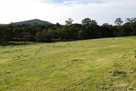 Property photo of 42 Wintergreen Way Peachester QLD 4519