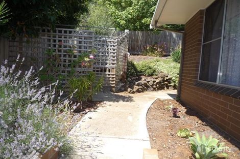 Property photo of 1/43 Belle Vue Avenue Belmont VIC 3216