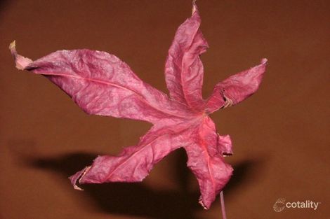 40 Rifle Range Rd, Gympie, QLD 4570