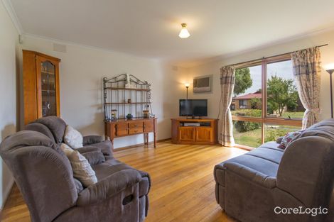 Property photo of 55 Murchison Crescent Clayton South VIC 3169