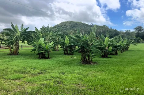 Property photo of 24 Paskins Road Yalboroo QLD 4741