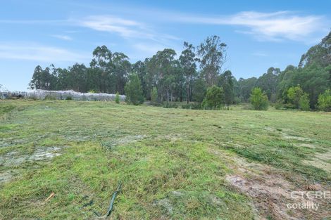 Property photo of 181 Tamboon Road Cann River VIC 3890