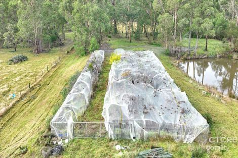 Property photo of 181 Tamboon Road Cann River VIC 3890