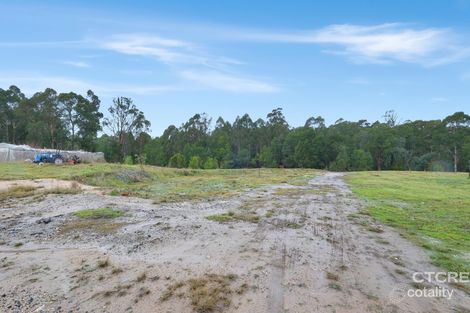 Property photo of 181 Tamboon Road Cann River VIC 3890