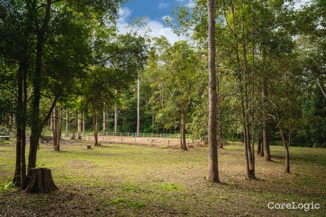 Property photo of 590 Bunya Road Eumundi QLD 4562