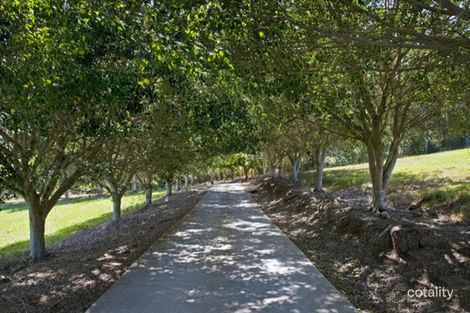 Property photo of 153 Thomsons Road Kingsholme QLD 4208