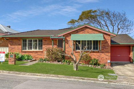 Property photo of 2/9A Section Street Mayfield NSW 2304