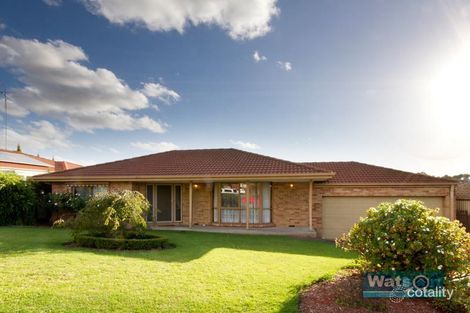 Property photo of 45 Conran Avenue Endeavour Hills VIC 3802