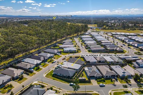 Property photo of 16 Caladenia Street Deebing Heights QLD 4306