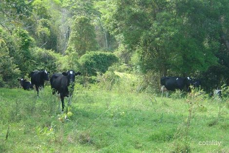 Property photo of 122 Andersons Road Federal QLD 4568