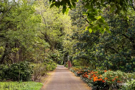 Property photo of 4 Trestrail Street Magill SA 5072