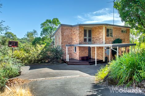 Property photo of 6 Tallawarra Rise Donvale VIC 3111