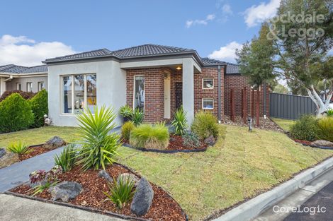 Property photo of 21 Rye Road Mernda VIC 3754