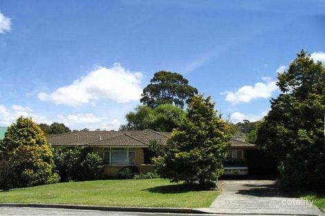 16 Bate Ave, Allambie Heights, NSW 2100
