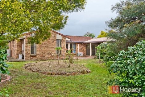 Property photo of 8 Epsom Close Bracken Ridge QLD 4017