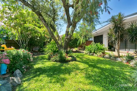 Property photo of 50 Downing Street Earlville QLD 4870