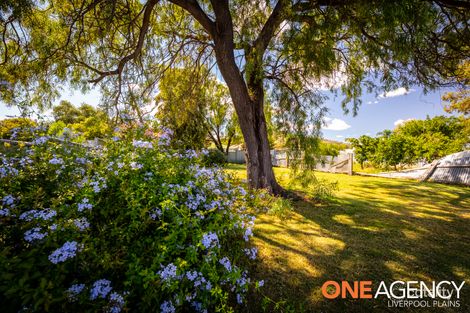 Property photo of 111 Single Street Werris Creek NSW 2341