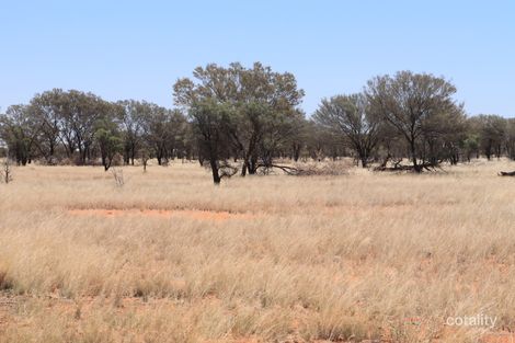 4751 Hungerford Rd, Thargomindah, QLD 4492