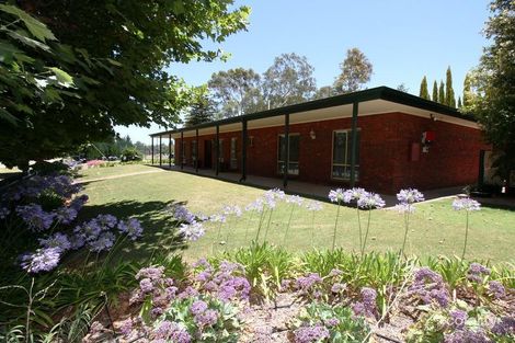 Property photo of 16 Foreman Road Berri SA 5343