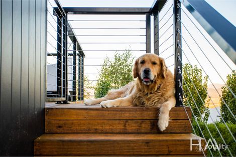 Property photo of 12 Eden Hills Drive Riverside TAS 7250